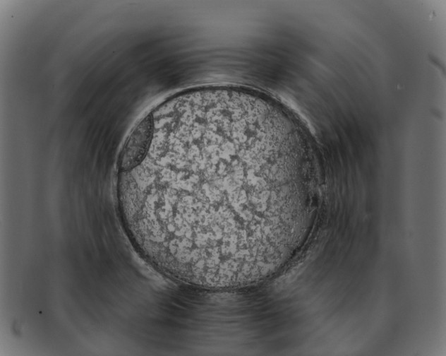 X0000091681421200709131539