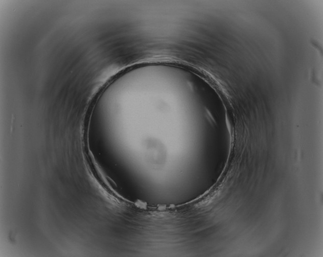 X0000091681422200709131539