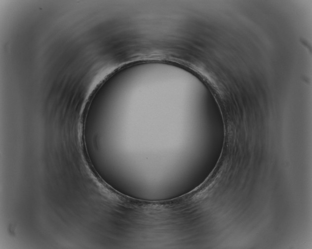 X0000091681424200709131539