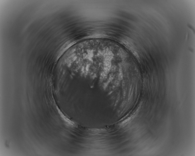 X0000091681425200709131539