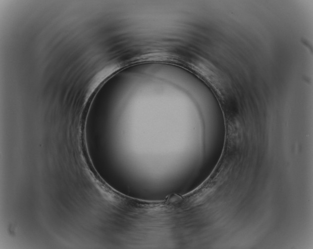 X0000091681426200709131539