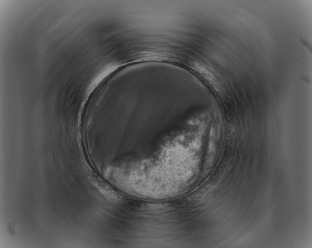 X0000091681427200709131539