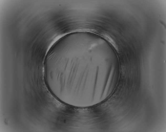 X0000091681428200709131539