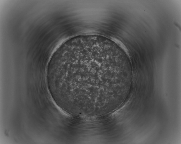 X0000091681429200709131539