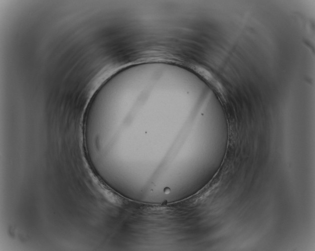 X0000091681431200709131539