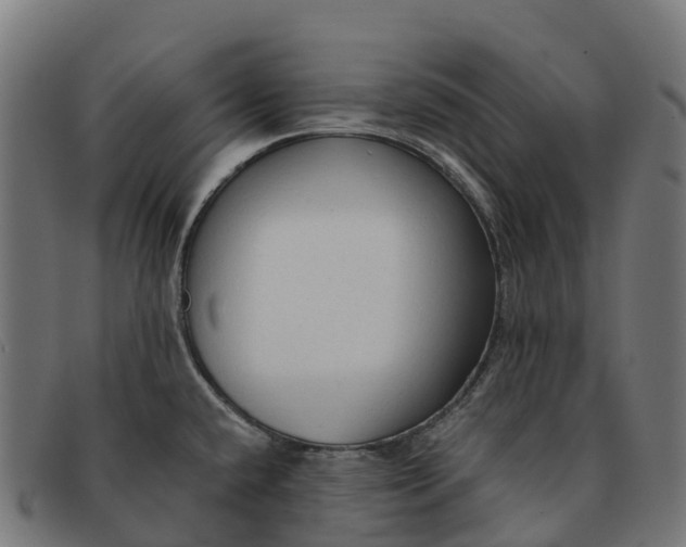 X0000091681432200709131539