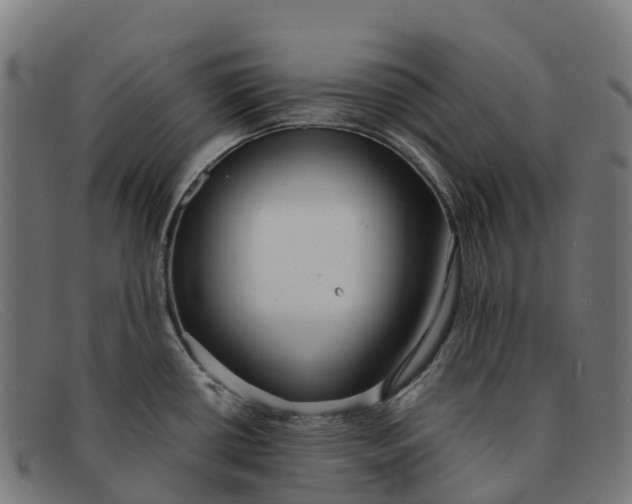 X0000091681434200709131539