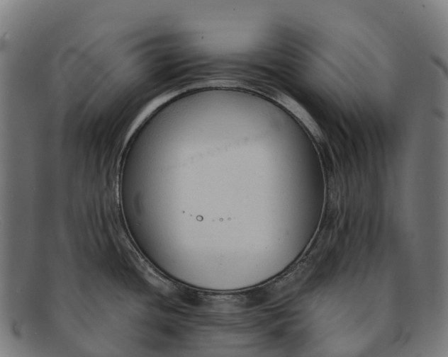 X0000091681436200709131539