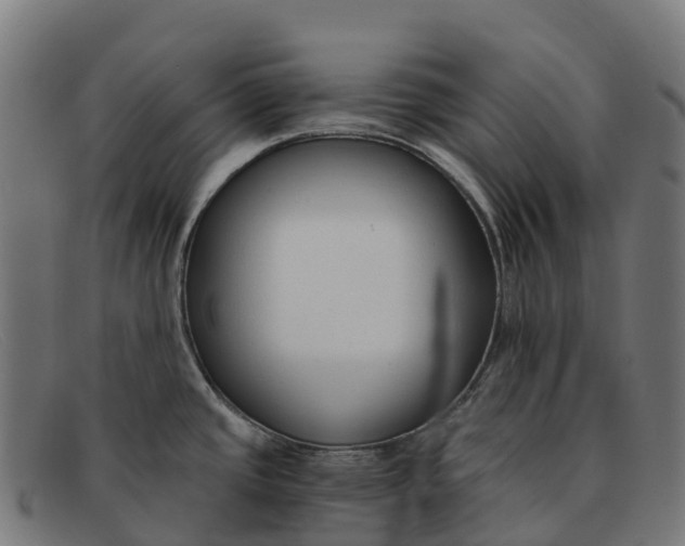 X0000091681437200709131539