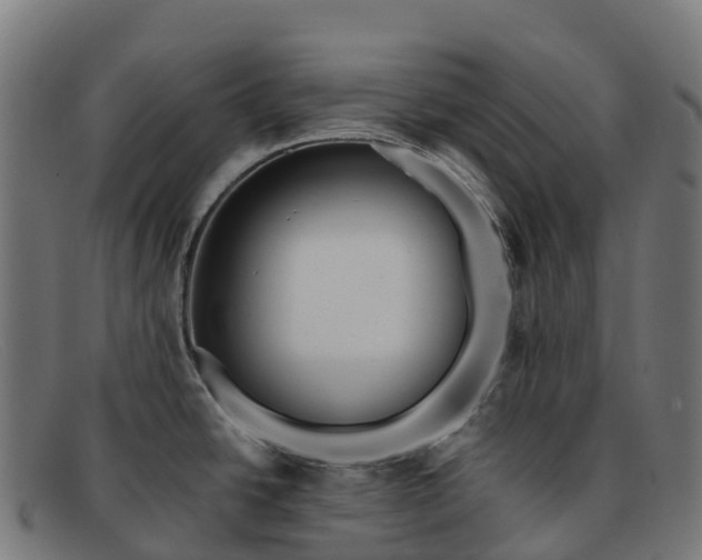 X0000091681438200709131539