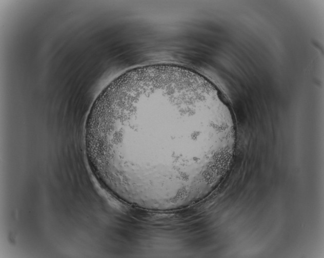 X0000091681439200709131539