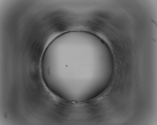 X0000091681440200709131539