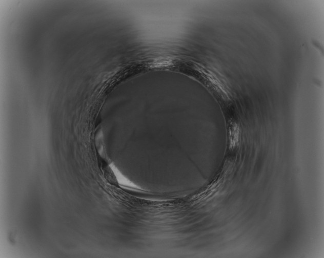 X0000091681441200709131538