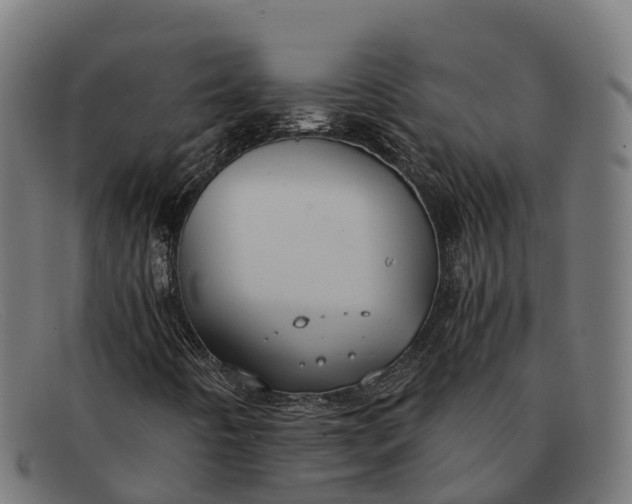 X0000091681442200709131538