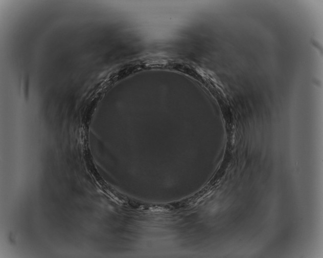 X0000091681445200709131538