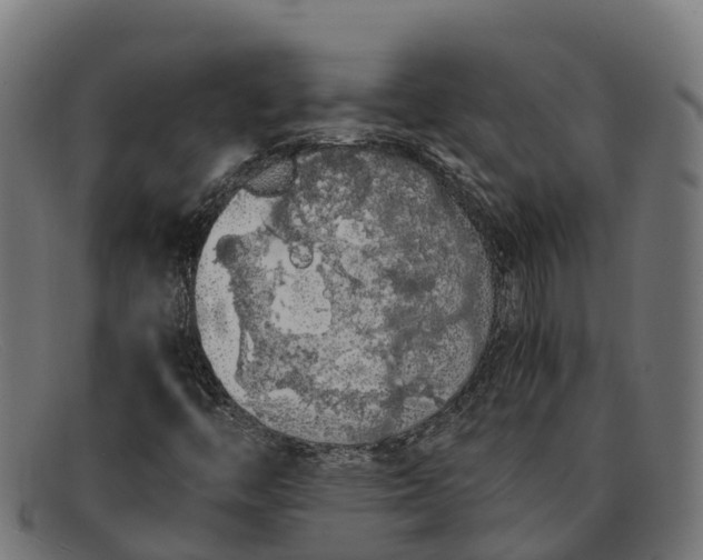 X0000091681446200709131538