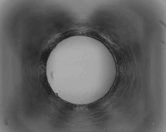 X0000091681447200709131538