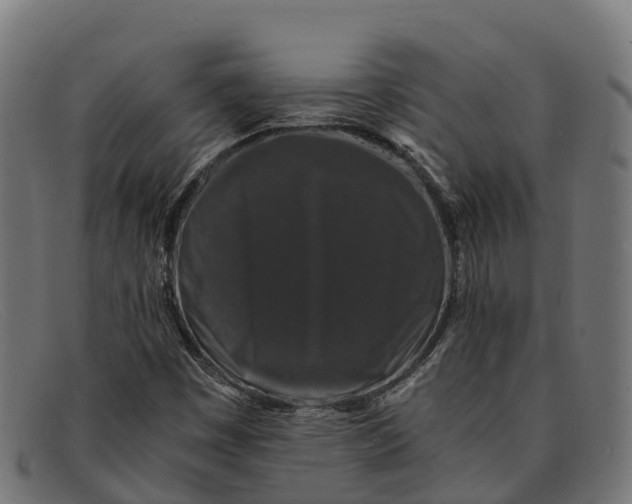 X0000091681449200709131538