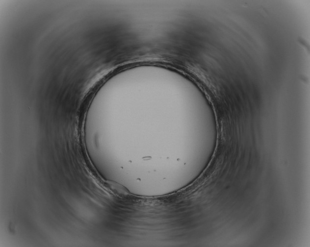 X0000091681452200709131538