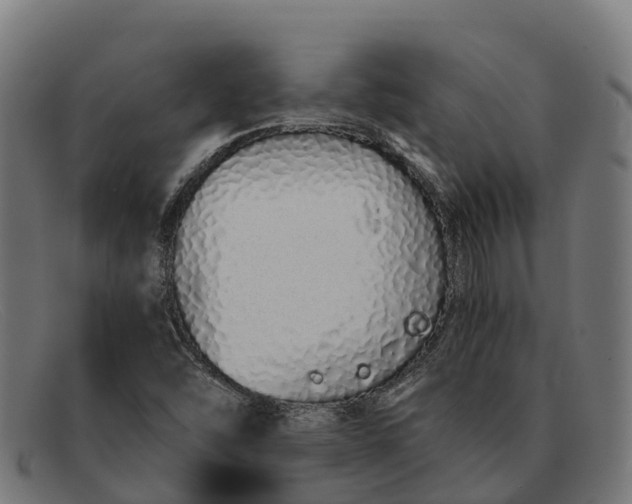 X0000091681454200709131538