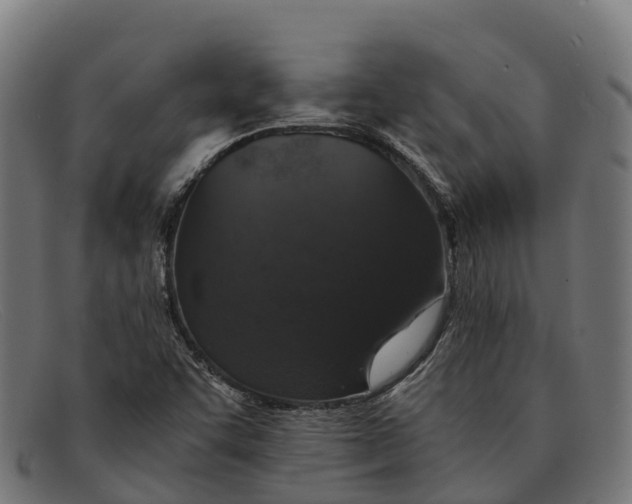 X0000091681455200709131538