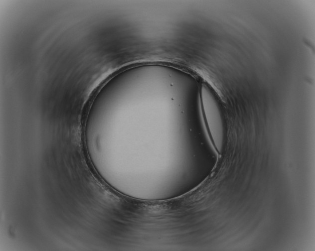 X0000091681460200709131538