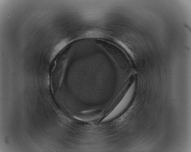 X0000091681461200709131538