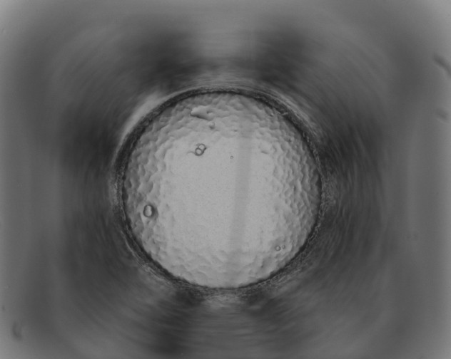 X0000091681462200709131538