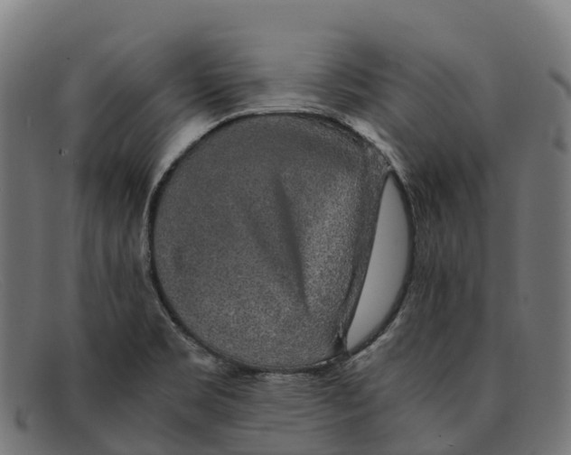 X0000091681469200709131538