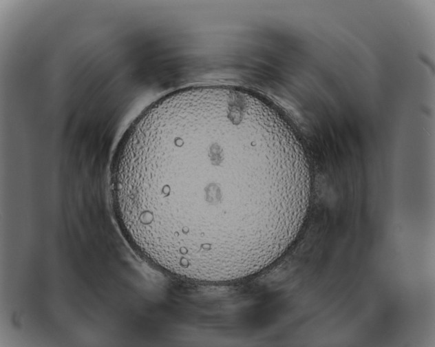 X0000091681470200709131538