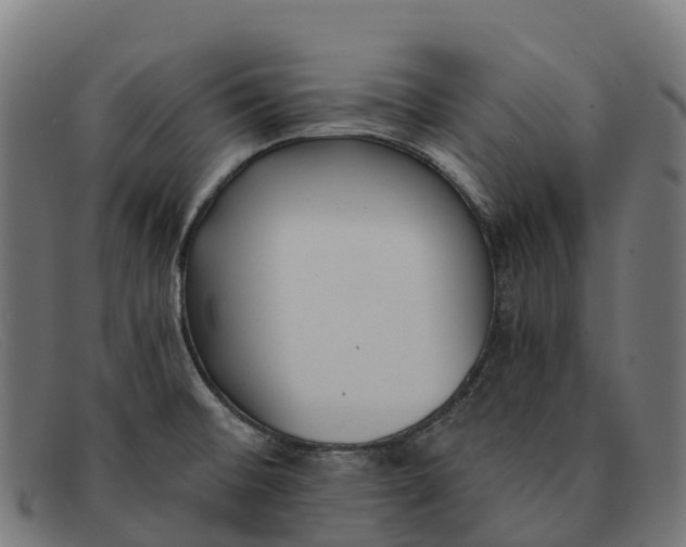 X0000091681476200709131538