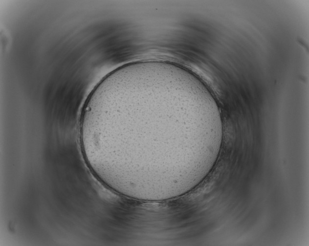 X0000091681478200709131538