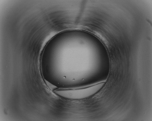 X0000091681480200709131538