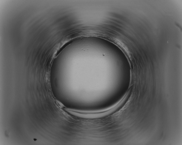 X0000091681481200709131538
