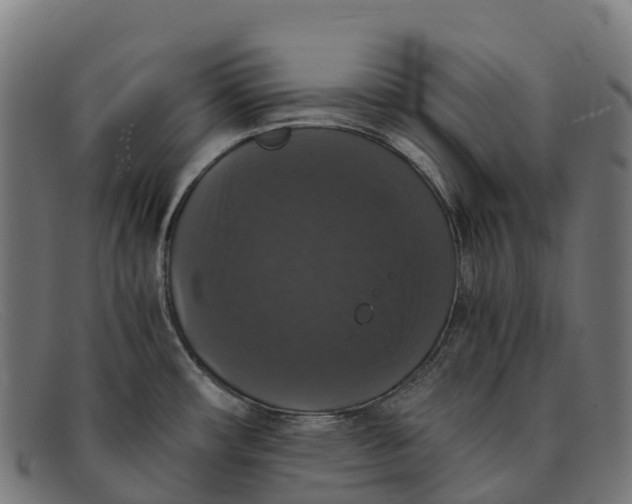 X0000091681482200709131538