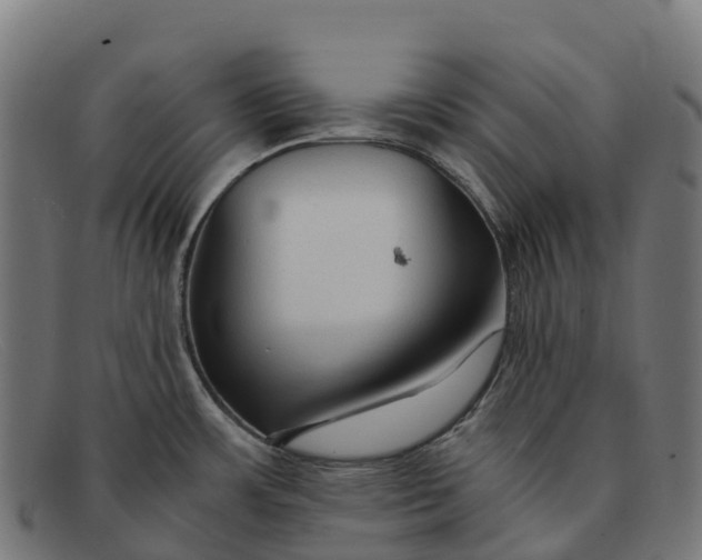 X0000091681483200709131538