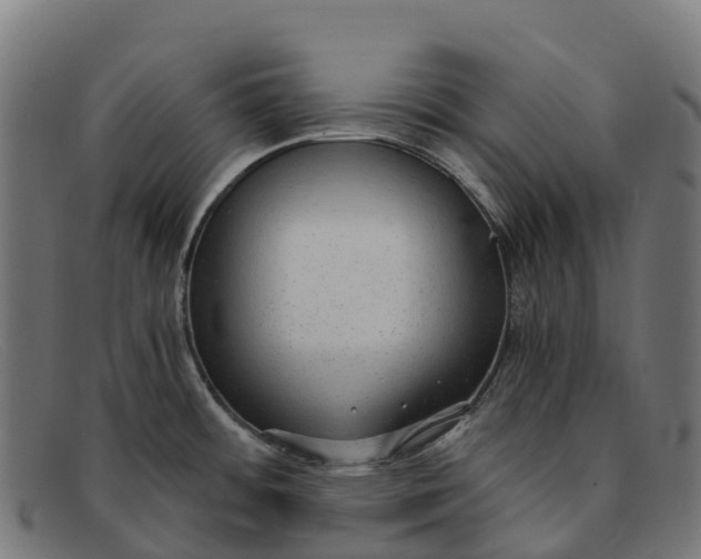 X0000091681484200709131538