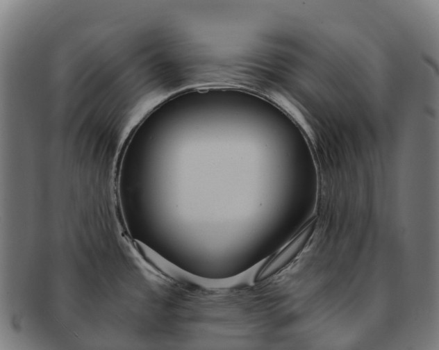 X0000091681485200709131538