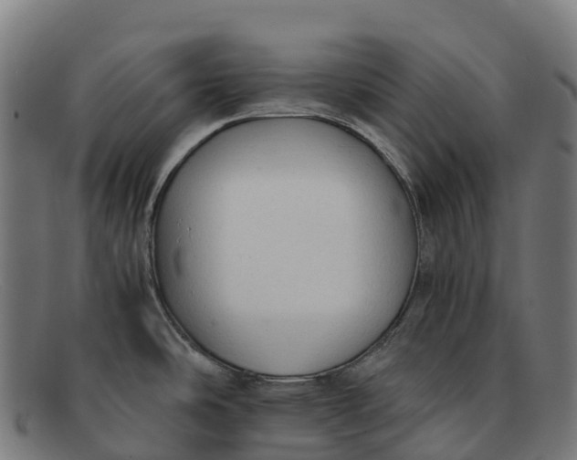 X0000091681486200709131538