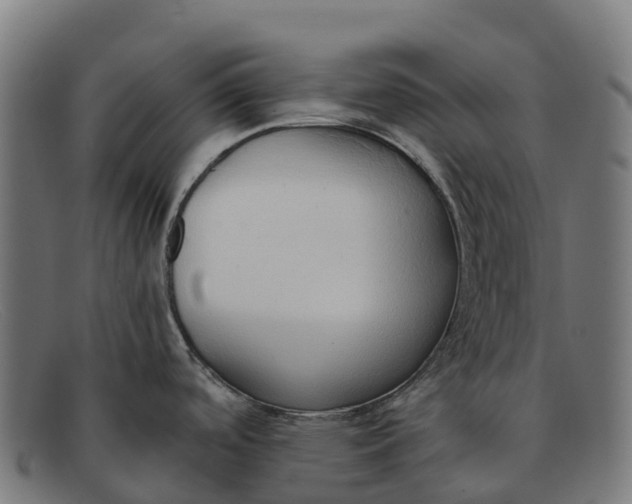 X0000091681488200709131538