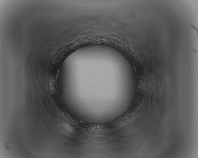 X0000091681490200709131537