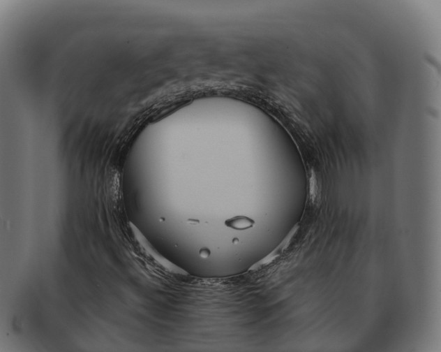 X0000091681492200709131537