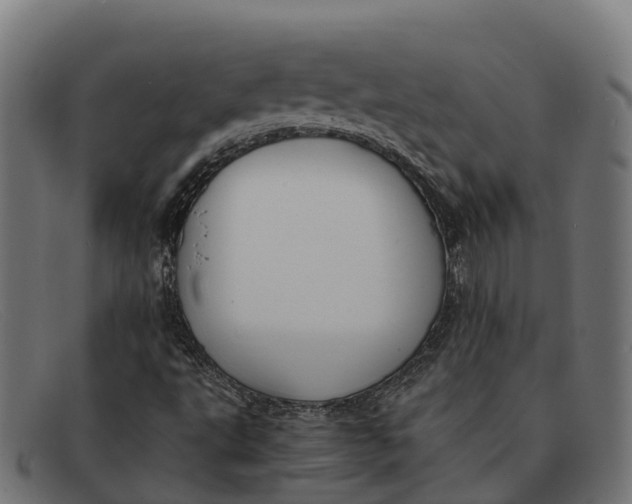 X0000091681495200709131537