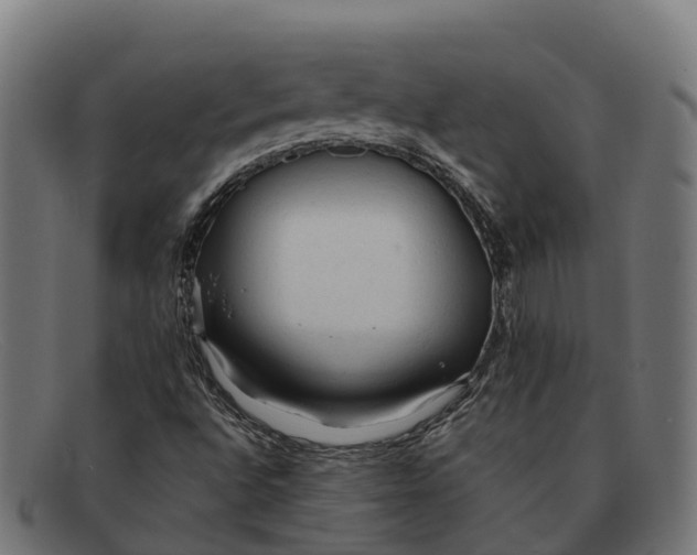 X0000091681496200709131537