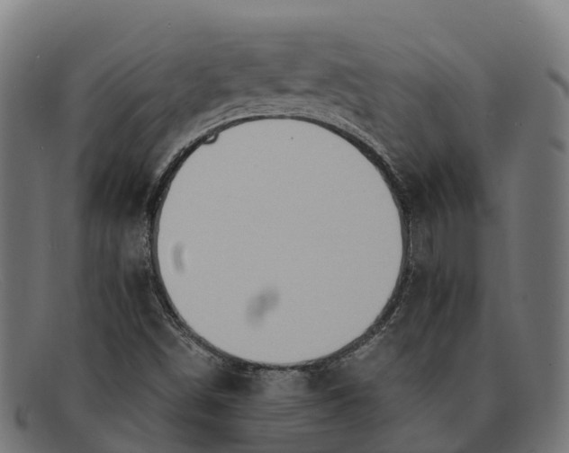X0000091681498200709131537