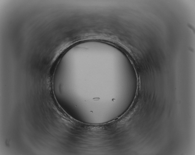 X0000091681501200709131537