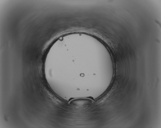 X0000091681502200709131537