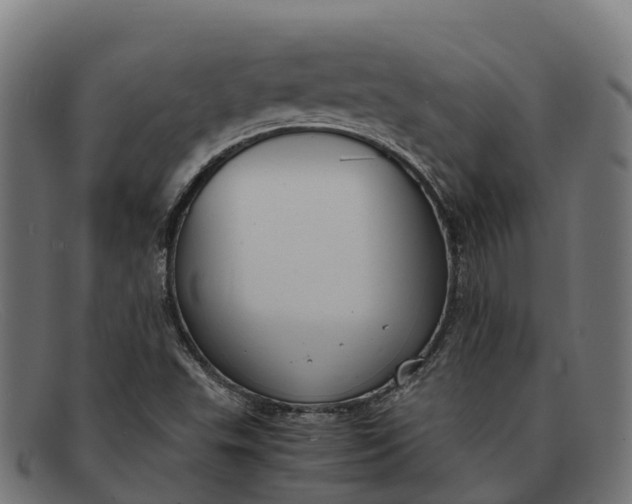 X0000091681503200709131537