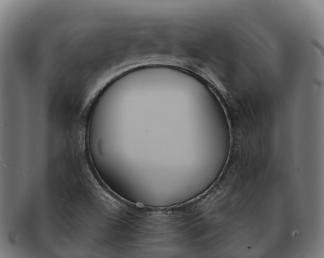 X0000091681504200709131537