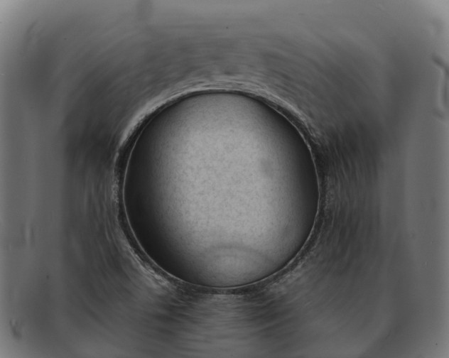 X0000091681506200709131537